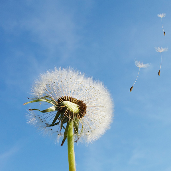 BG���Ρ�(�й�����)�ٷ���վ