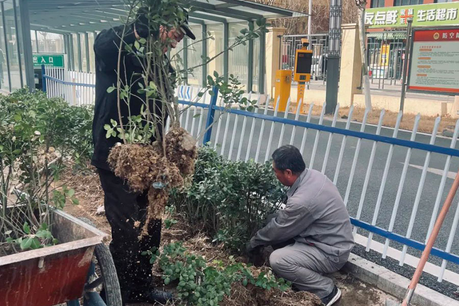 BG���Ρ�(�й�����)�ٷ���վ